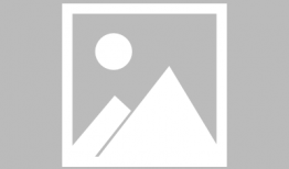 斗破苍穹动漫免费,热血少年逆天崛起，动漫免费畅享传奇之旅